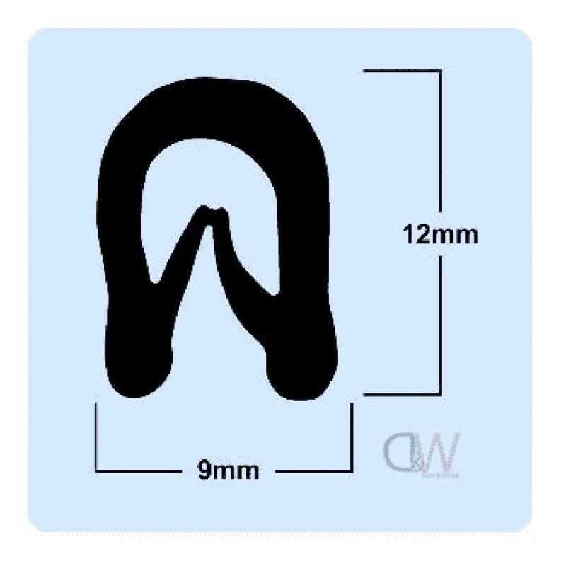 Molar Tooth Root Silhouette